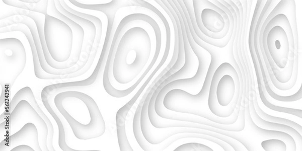 Fototapeta Abstract wavy line 3d paper cut white background. Topographic canyon geometric map relief texture with curved layers and shadow. Abstract realistic papercut decoration textured with wavy layers