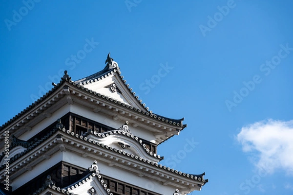 Fototapeta 大洲城