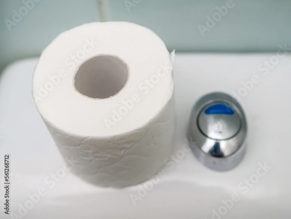 Fototapeta Toilet paper roll on a WC cistern
