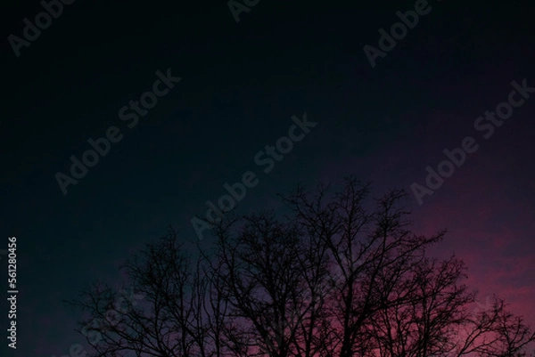 Fototapeta Unreal sunset