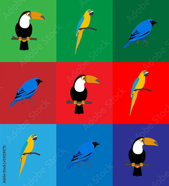 Fototapeta Amazonia - Rainforest Animals