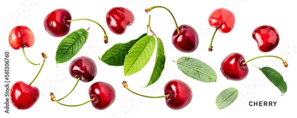 Obraz Fresh red cherry fruits and leaves. PNG with transparent background. Flat lay. Without shadow.