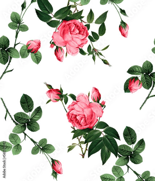 Fototapeta seamless pattern with roses