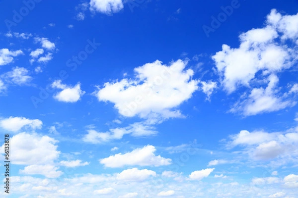Fototapeta 夏の青空と白い雲