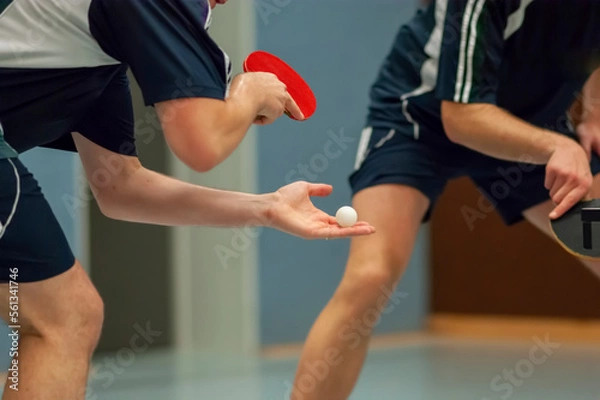 Obraz Table Tennis Player serving, holding ball in hand	