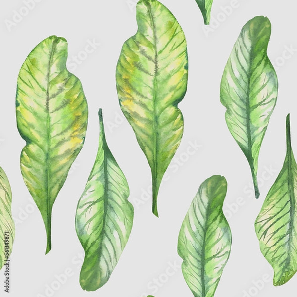 Obraz Leaves pattern. Elements in watercolor style