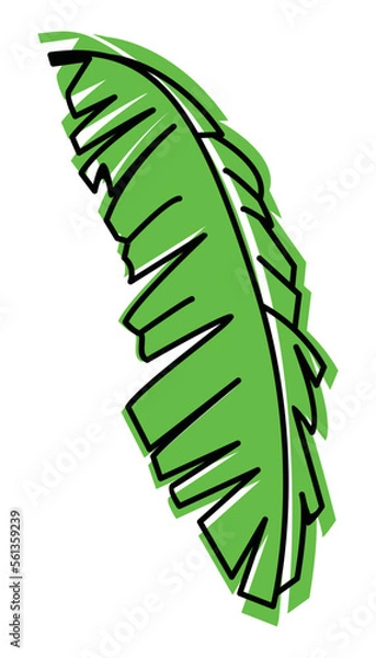 Fototapeta Banana Pattern Leaf Vector Design Illustration