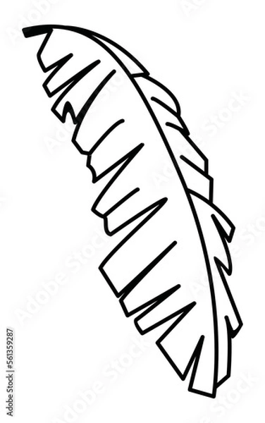 Fototapeta Banana Pattern Leaf Vector Design Illustration