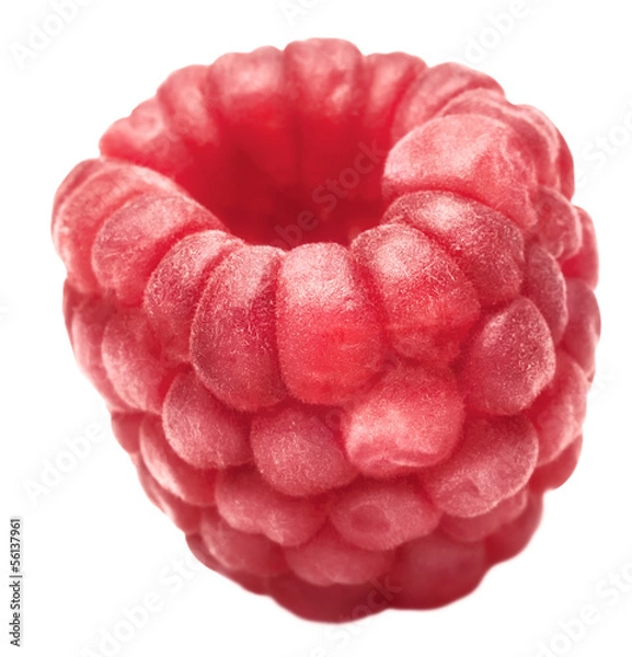 Obraz one ripe raspberry