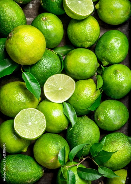 Obraz Fresh juicy lime with leaves.