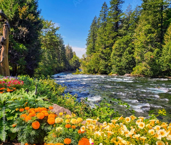 Obraz River's Beauty