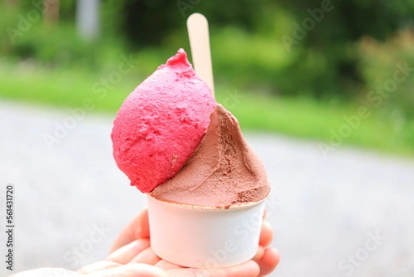 Obraz カラフルなジェラート　食べ物　糖質
