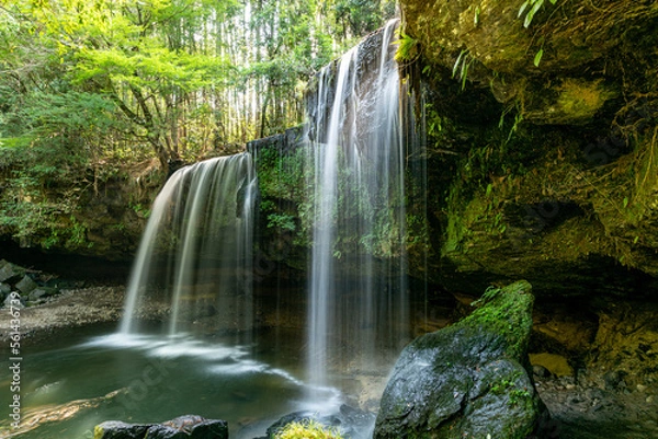 Fototapeta 滝と新緑