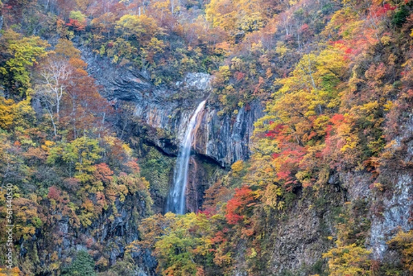 Obraz 滝を囲む紅葉