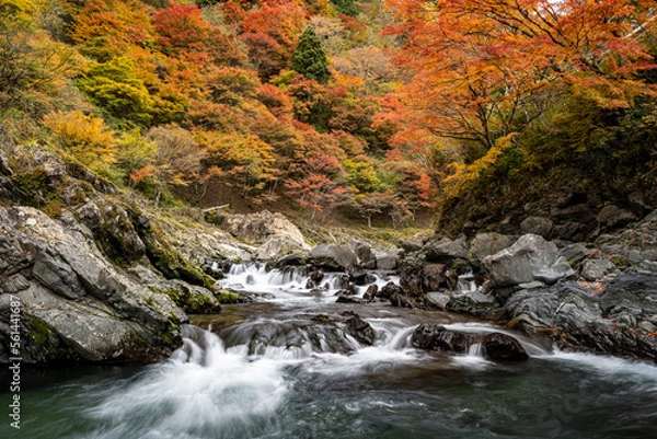 Obraz 渓流と紅葉