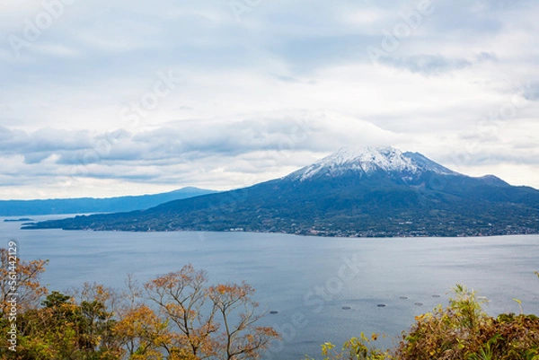 Fototapeta 桜島の初冠雪	