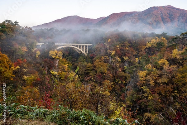 Obraz 早朝の渓谷