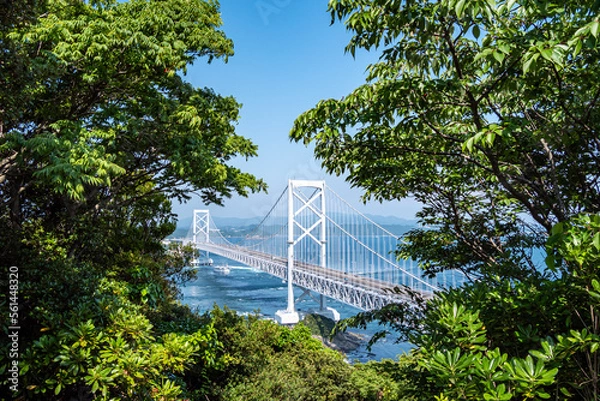 Obraz 樹間から覗く橋