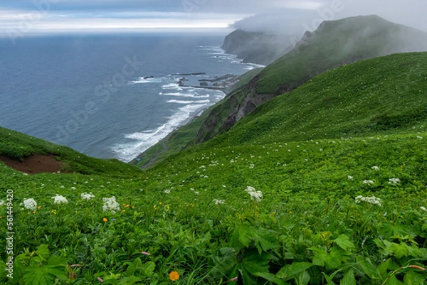 Obraz 雲が湧く花の島