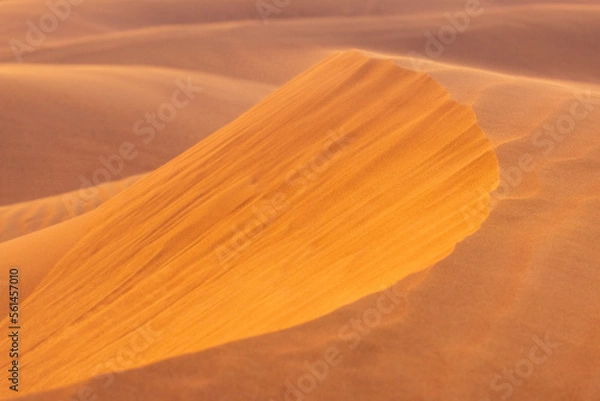 Fototapeta Close up of the ridge of desert dunes, with wavy patterns drawn by the wind