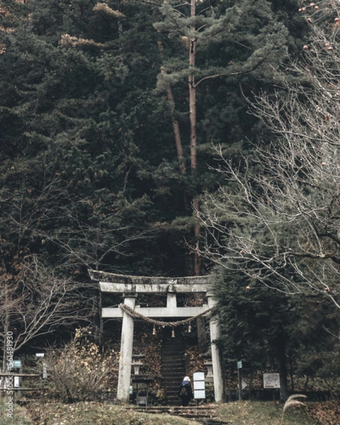 Obraz temple in the mountains