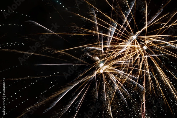 Fototapeta fireworks in the night sky