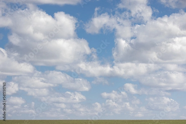 Fototapeta The seemingly infinite plains of the Masai Mara