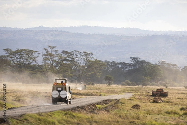 Obraz Safari vehicles crossing a path in Lake Nakura