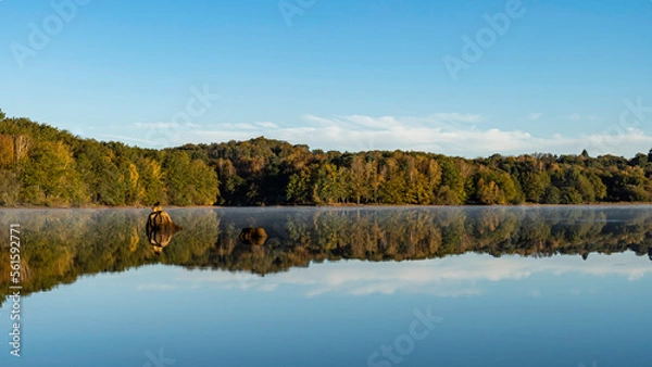 Fototapeta  HDR Mirror of the forest in the Lac de Saint Pardoux at sunrise in autumn