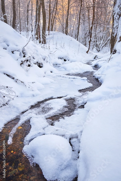 Obraz small unfrozen stream in winter