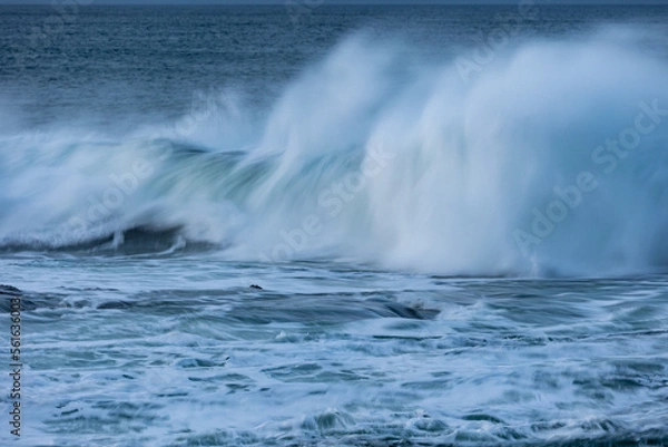 Fototapeta An afternoon on the Cantabrian coast with landscapes, fauna and waves!