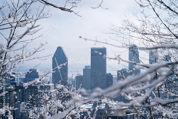 Obraz montreal skyline