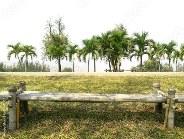 Obraz Bamboo Chesterfield