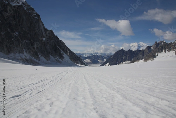 Obraz mountains in denali national park in alaska