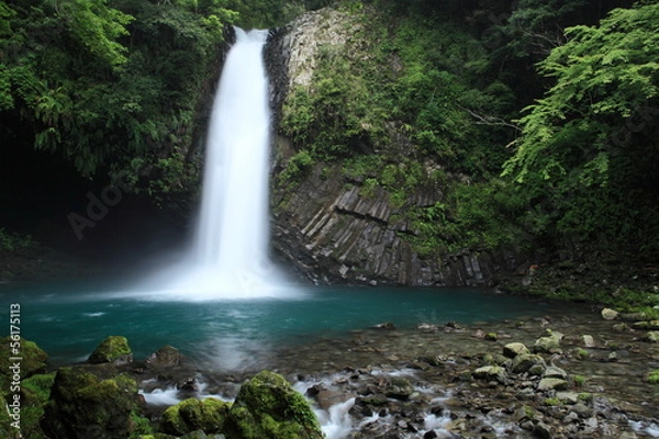 Fototapeta 浄蓮の滝