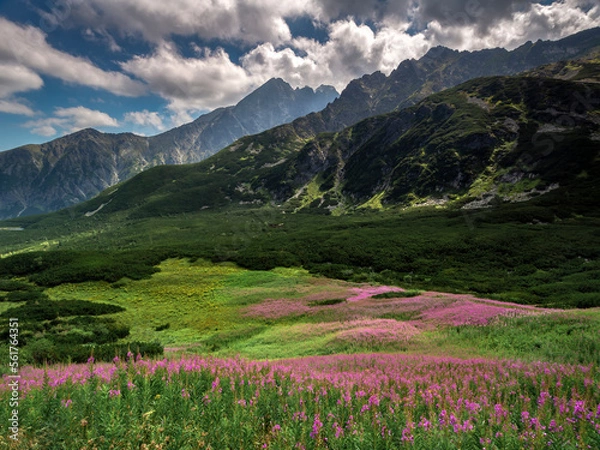Fototapeta Dolina Białych Stawów, Dolina Bielych plies, Tatry Słowacja