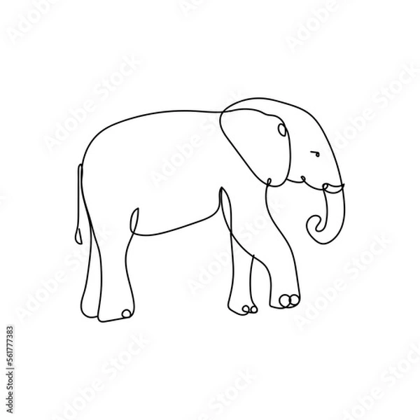 Fototapeta Vector line art of elephant 
