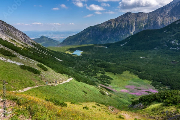 Fototapeta Dolina Białych Stawów - Tatry Słowacja