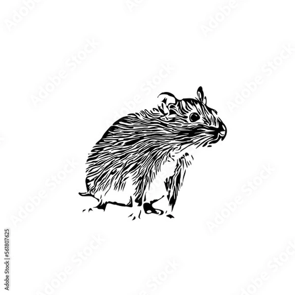 Obraz black and white sketch of a mouse with a transparent background