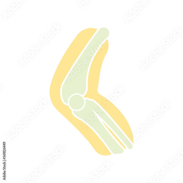 Fototapeta Joint bones vector logo design for orthopedic clinics