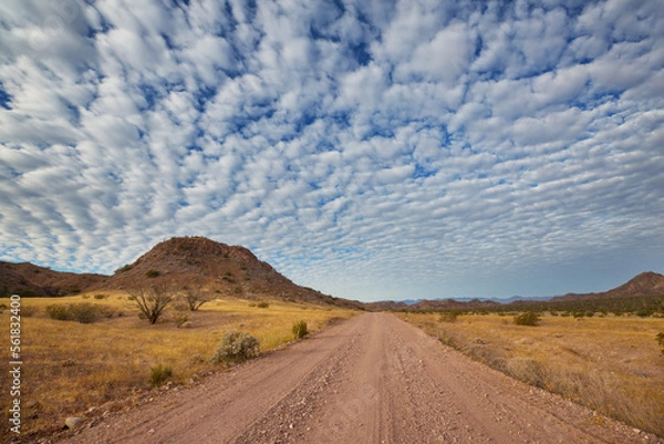 Obraz Road in Baja