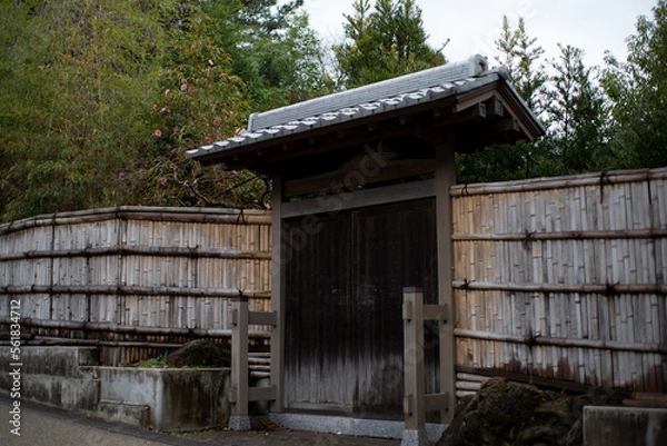 Fototapeta 立子と門