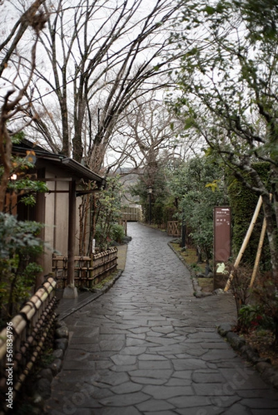 Obraz 修善寺の小径