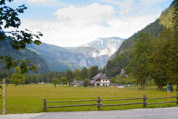 Obraz mountain side - logar valley Slovenia