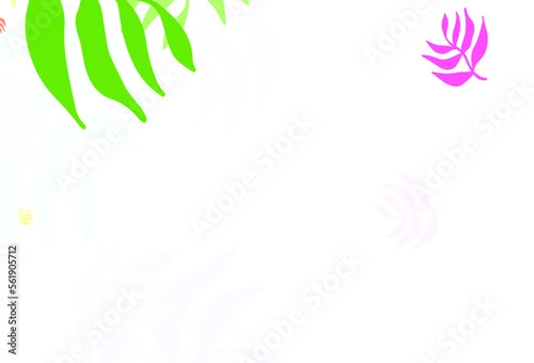 Fototapeta Light Multicolor vector doodle pattern with leaves.