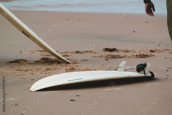 Obraz surfboards on the beach