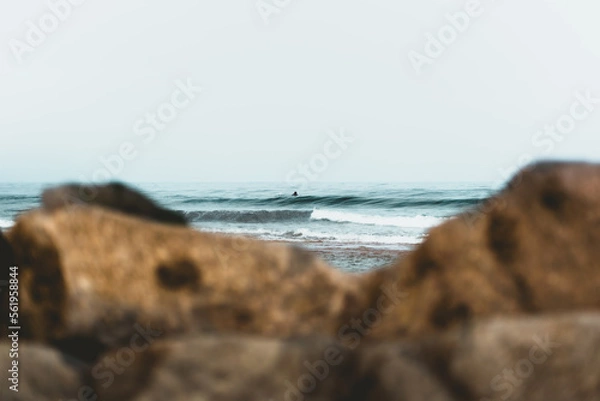 Obraz Surfer in the ocean