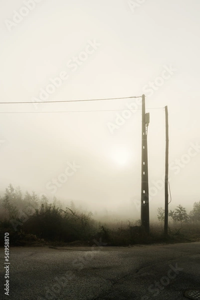 Obraz Foggy Scenario