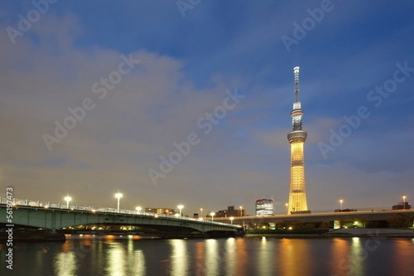 Obraz Tokyo sky tree