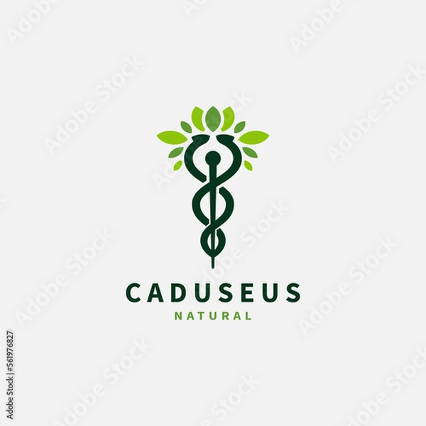 Obraz caduceus leaf tree natural vector icon logo design